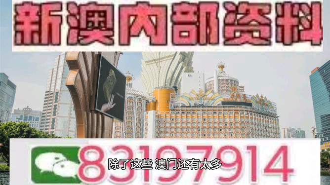 2024澳门特马今晚开结果精选解析、解释与落实