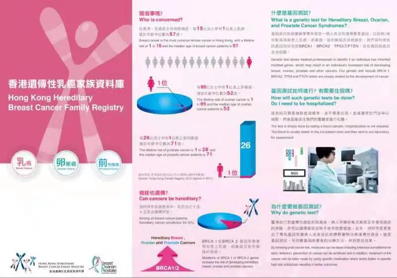 2025正版香港资料免费大全的警惕虚假宣传-全面释义、解释与落实
