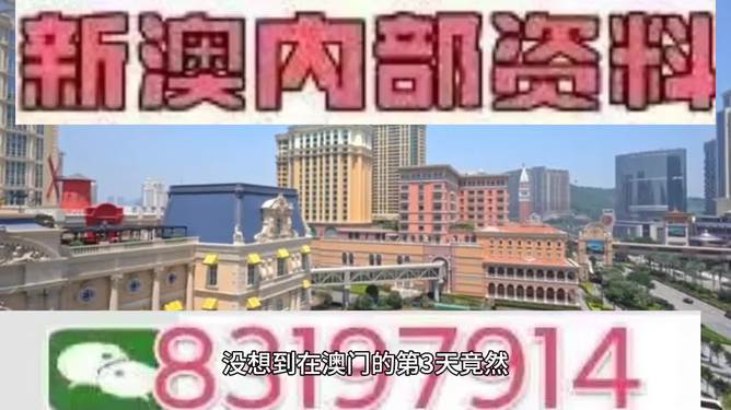 2024澳门特马今晚开结果精选解析、解释与落实