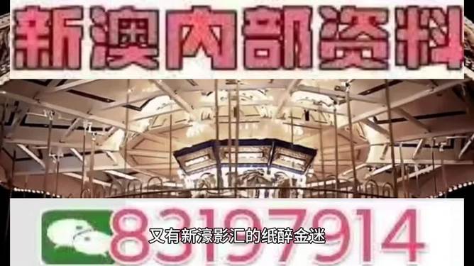 2024澳门特马今晚开结果精选解析、解释与落实