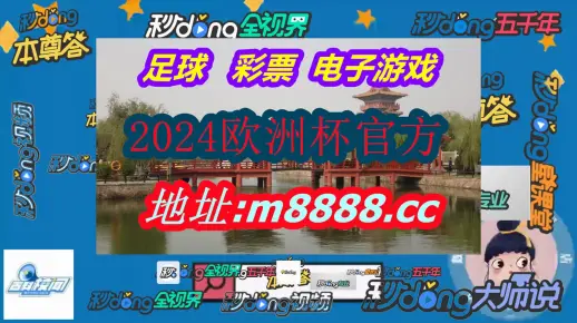 新2025年澳门资料公开免费详细解答、解释与落实